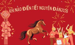 Tết không chỉ là đích đến – đó là hành trình chuẩn bị