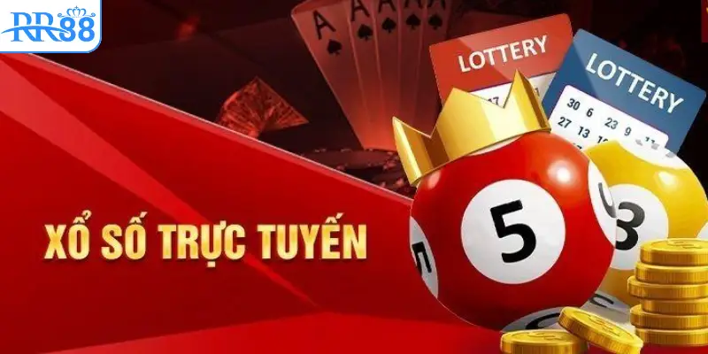 Bức tranh tổng thể: cách vận hành, xác suất và hiểu đúng rủi ro