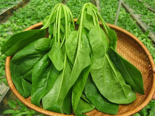 Cải bó xôi - 1. Canh cải bó xôi nấu tôm