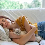 Giải mã giấc mơ thấy mèo: Ý nghĩa từng trường hợp phổ biến
