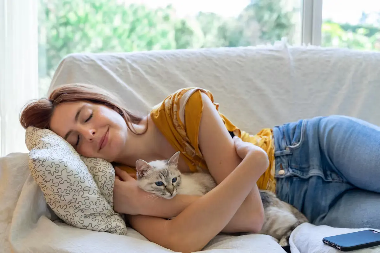 Giải mã giấc mơ thấy mèo: Ý nghĩa từng trường hợp phổ biến