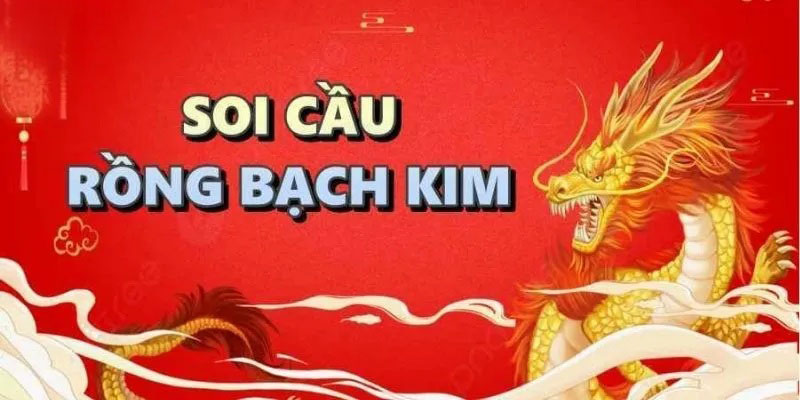 Lưu ý quan trọng khi sử dụng Rồng Bạch Kim lode247