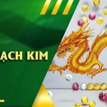 Tổng quan về Rồng Bạch Kim lode247