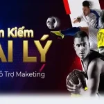 Tổng quan về chương trình đại lý P3