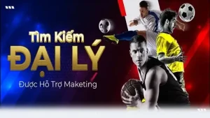 Tổng quan về chương trình đại lý P3