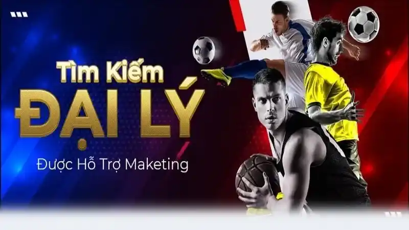 Tổng quan về chương trình đại lý P3