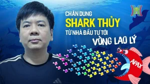 Shark Thuỷ