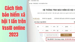 Bảo Hiểm Xã Hội