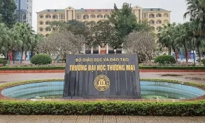 Đại Học Thương Mại
