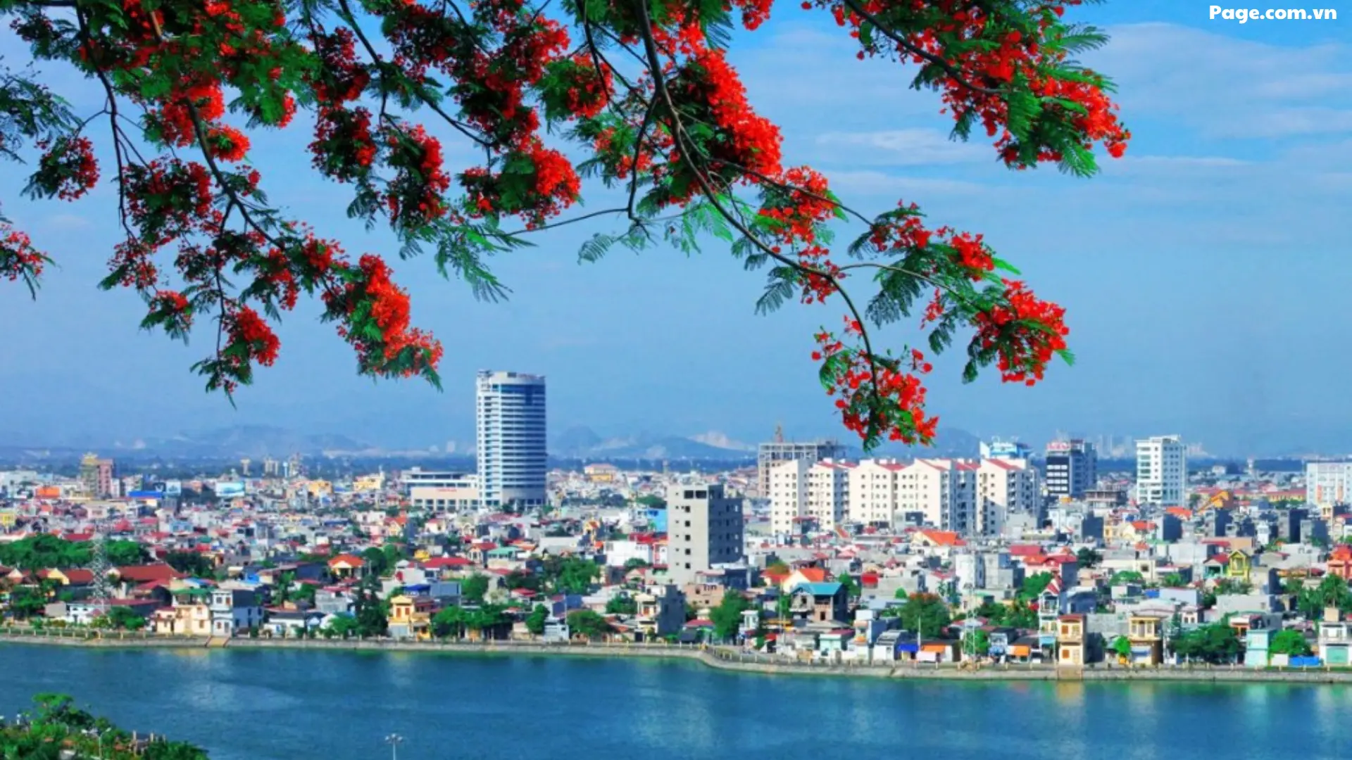 Thành phố Hải Phòng rực rỡ trong mùa hoa phượng