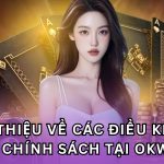 Tổng quan và phạm vi áp dụng