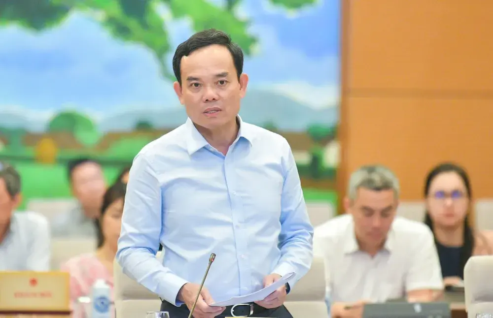 Ông Trần Lưu Quang trong một buổi làm việc