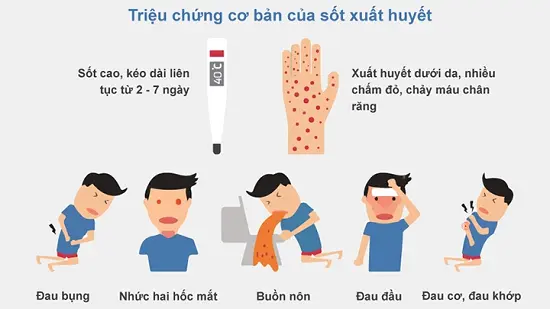 Các triệu chứng điển hình của bệnh nhân mắc sốt xuất huyết