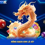 Rồng Bạch Kim - Bí Quyết Soi Cầu Xổ Số May Mắn Tại donatellastyle.com