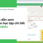 VioEdu