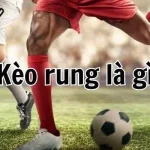 Hướng dẫn cách đọc kèo rung bóng đá hiệu quả nhất
