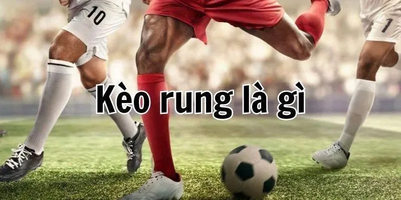 Hướng dẫn cách đọc kèo rung bóng đá hiệu quả nhất