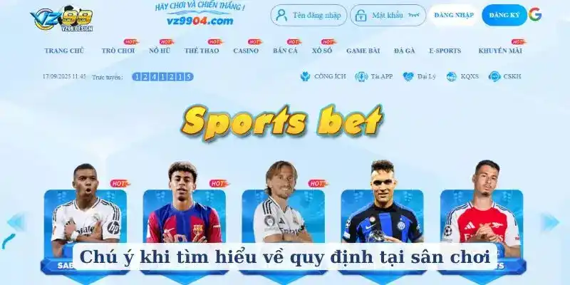 Tuân thủ pháp luật và quy định