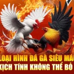 Các loại hình đá gà siêu máu lửa và kịch tính không thể bỏ qua