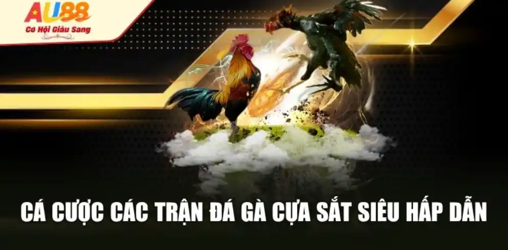 Tối ưu thiết bị và mạng để xem và đặt mượt tay