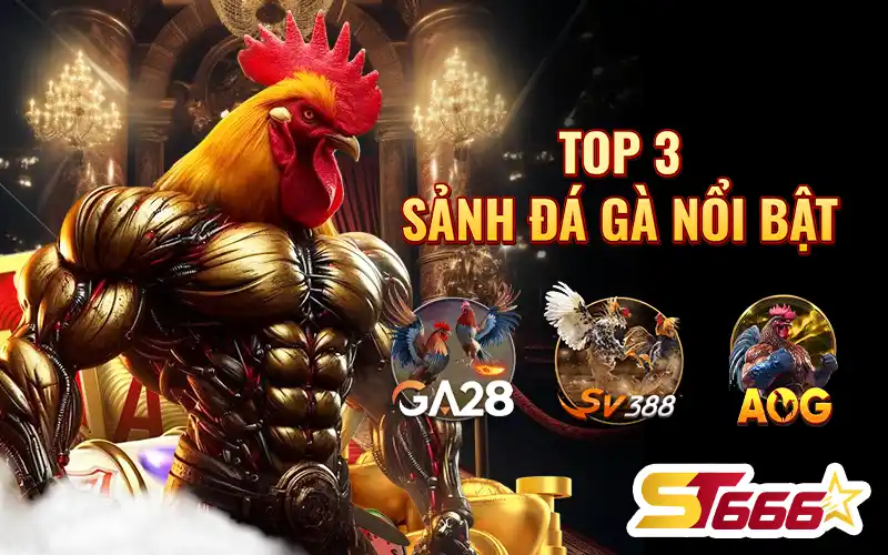 Top 3 sảnh đá gà nổi bật tại ST666