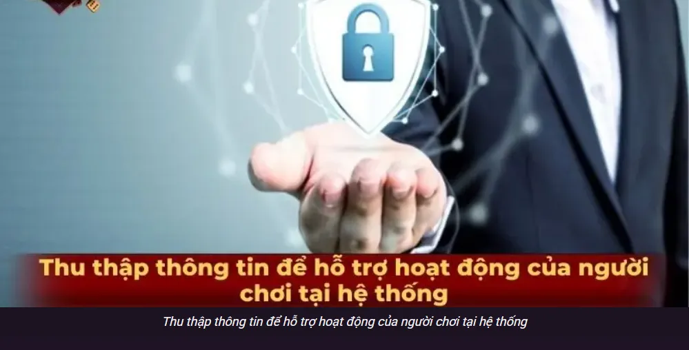 Mục đích sử dụng: hợp thức vận hành, bảo mật, hay tiếp thị?