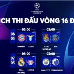 Tổng quan trải nghiệm: từ lịch, tỉ số đến thống kê có thể hành động