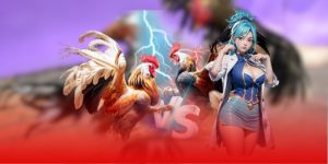 Đá gà 3389 – đấu trường chiến kê nảy lửa cho kê thủ