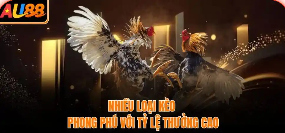 Chiến lược đặt kèo: mượt tay là mượt trong đầu