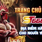 Trang Chủ Đá Gà ST666 – Điểm Đến Hàng Đầu Cho Dân Chơi Mê Đá Gà Online