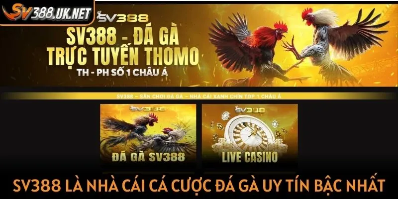 Tổng quan về cá cược đá gà trực tiếp