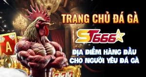 Trang Chủ Đá Gà ST666 – Điểm Đến Hàng Đầu Cho Dân Chơi Mê Đá Gà Online