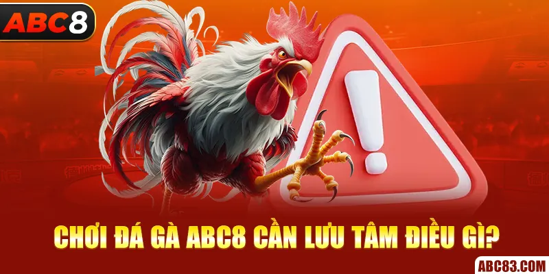 Chơi đá gà ABC8 cần lưu tâm điều gì?