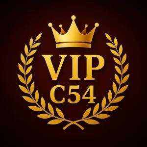 Cấp độ thăng hạng trong VIP c54
