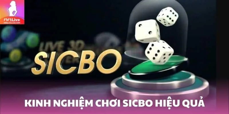 Bí quyết nâng cao tỷ lệ thắng trong game bài mmlive