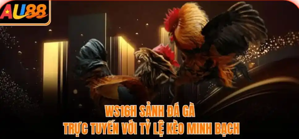 Bảng kèo đá gà AU88: minh bạch, dễ đọc, cập nhật theo nhịp trận