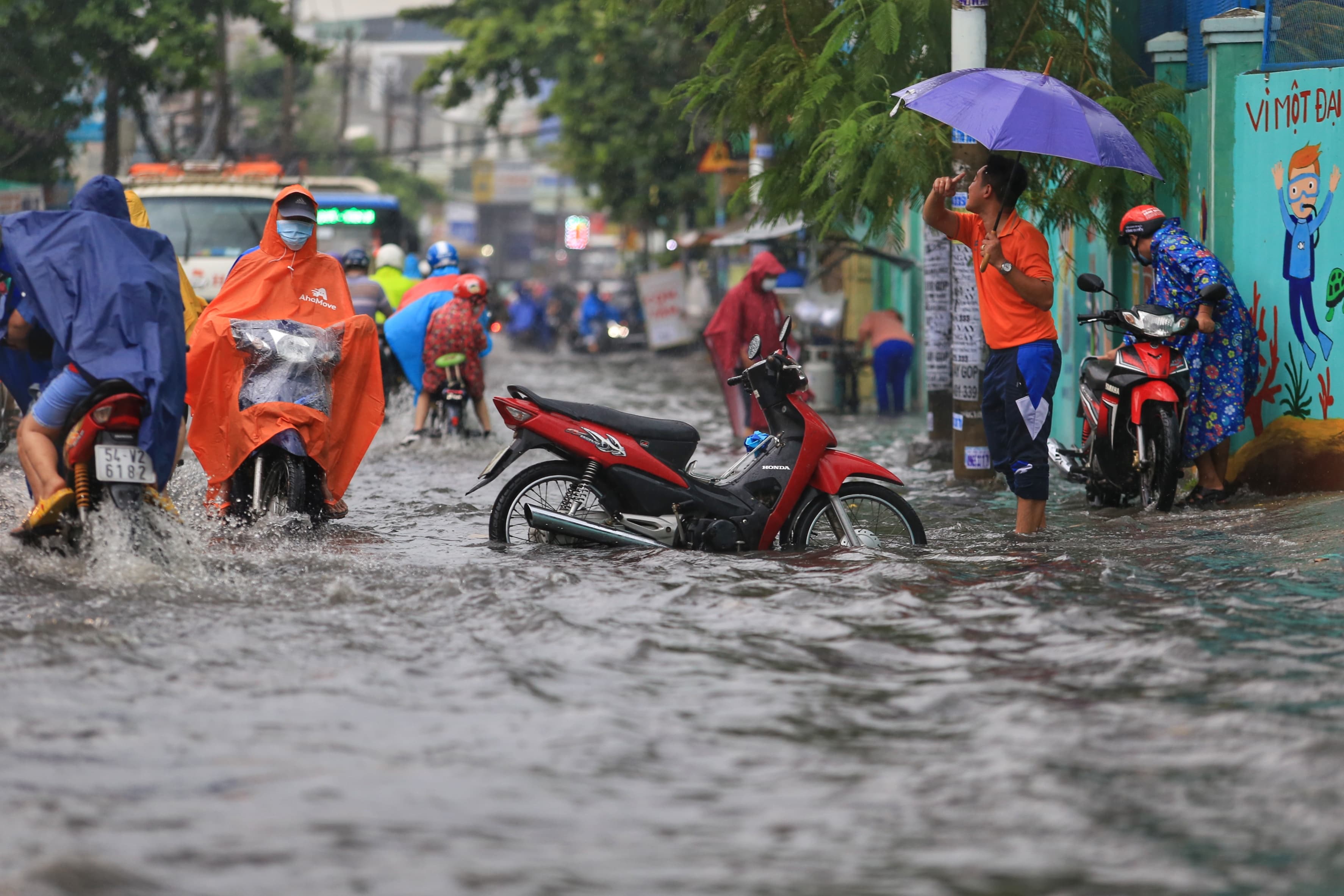 Một cơn mưa rào bất chợt đặc trưng của thời tiết Thành phố Hồ Chí Minh