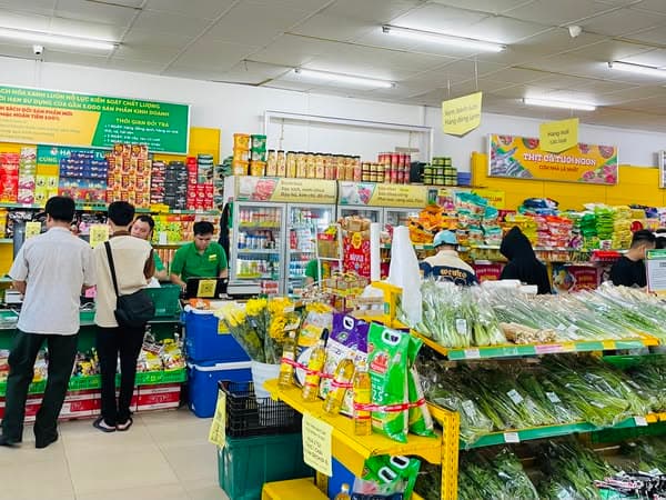 Khu vực trưng bày rau củ quả tươi ngon, đa dạng tại Bachhoaxanh