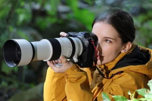 Ảnh Chụp Bằng Máy Ảnh DSLR Tạo Hình Ảnh Chuyên Nghiệp