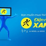 Điện Máy Xanh: Hệ Thống Bán Lẻ Điện Máy Hàng Đầu Việt Nam