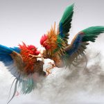 Trang đá gà 13WIN chất lượng đỉnh cao mọi thời đại