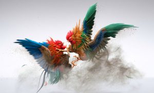 Trang đá gà 13WIN chất lượng đỉnh cao mọi thời đại
