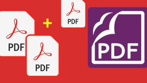 Ghép File PDF: Hướng Dẫn Chi Tiết Từ A-Z Với Các Công Cụ Miễn Phí Tốt Nhất