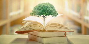 Hướng dẫn thực tiễn để giao tiếp hiệu quả