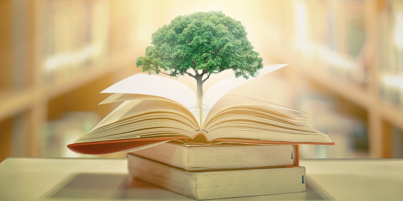 Hướng dẫn thực tiễn để giao tiếp hiệu quả