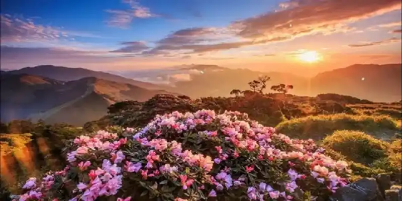 Truyền cảm hứng qua ảnh thiên nhiên