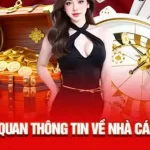 Nền tảng đáng tin: bảo mật, ổn định và minh bạch