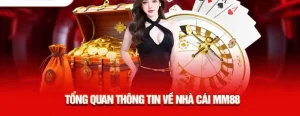 Nền tảng đáng tin: bảo mật, ổn định và minh bạch