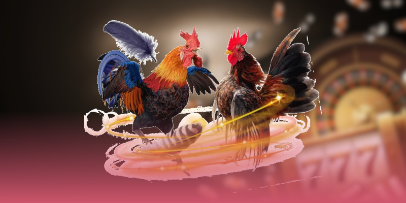Nguyên nhân khiến Alo789 bị chặn