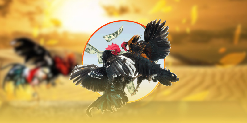 Sảnh RCB – trải nghiệm đa dạng khu vực